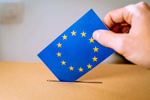 DISINFORMATION AND HOAXES, A THREAT TO BE TAKEN INTO ACCOUNT IN THE EUROPEAN ELECTIONS​