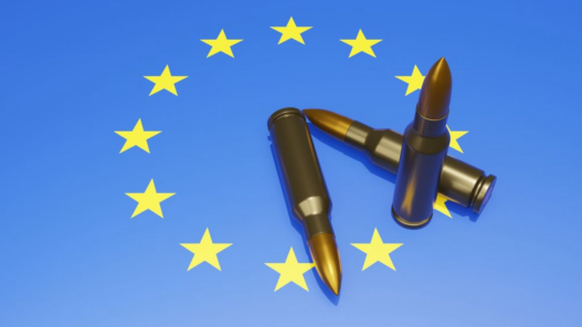 ¿TIENE FUTURO UNA POLÍTICA EUROPEA COMÚN DE DEFENSA?​