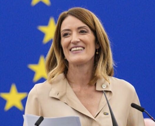 METSOLA REPITE AL FRENTE DE LA EUROCÁMARA​