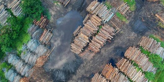 BRASIL SOLICITA A ESPAÑA APOYO PARA LOGRAR LA SUSPENSIÓN DE LA LEY ANTIDEFORESTACIÓN DE LA UE​