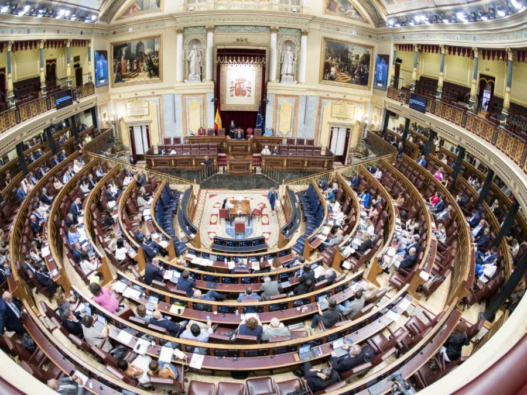 EL CONGRESO ESPAÑOL PIDE EL RECONOCIMIENTO DE EDMUNDO GONZÁLEZ CON LOS VOTOS EN CONTRA DEL PSOE​