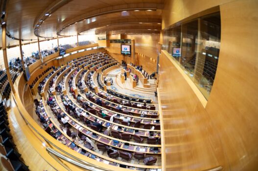 EL SENADO ESPAÑOL SE UNE AL CONGRESO Y PIDE AL GOBIERNO EL RECONOCIMIENTO DE EDMUNDO GONZÁLEZ​