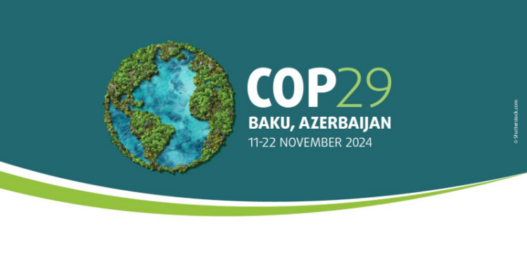 ACABADA LA COP29, VEAMOS SUS CONCLUSIONES